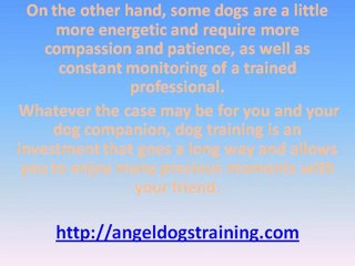 Your Dog Should Be Trained As Early As Possible