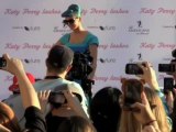 Katy Perry sahnt Publikumspreise ab