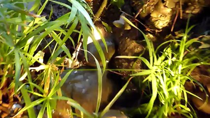 Sa 80x80: Compact and Efficient Design