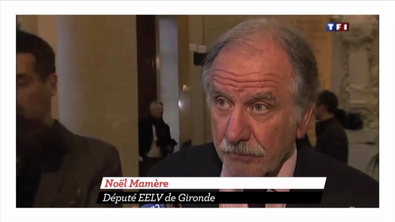 Passe d'armes chez les Verts sur le Mali