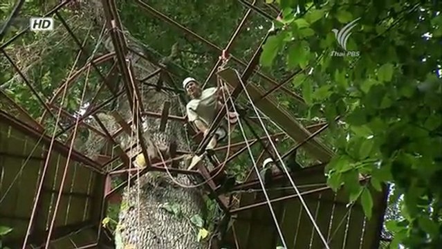 โลก 360 องศา - บ้านบนต้นไม้ 16Jan13