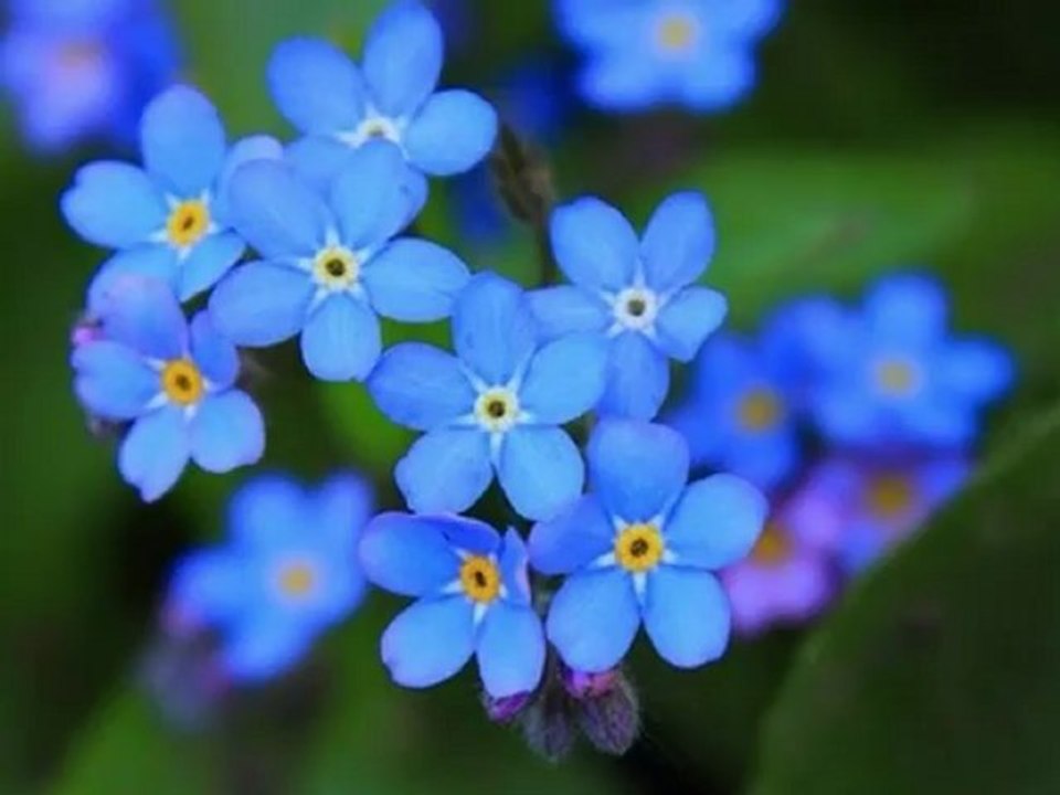 KiBaRiYe gittıde gitti !