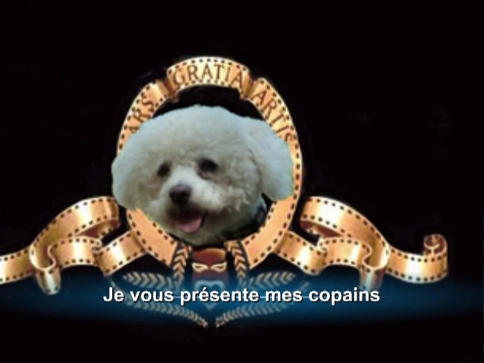 chiens