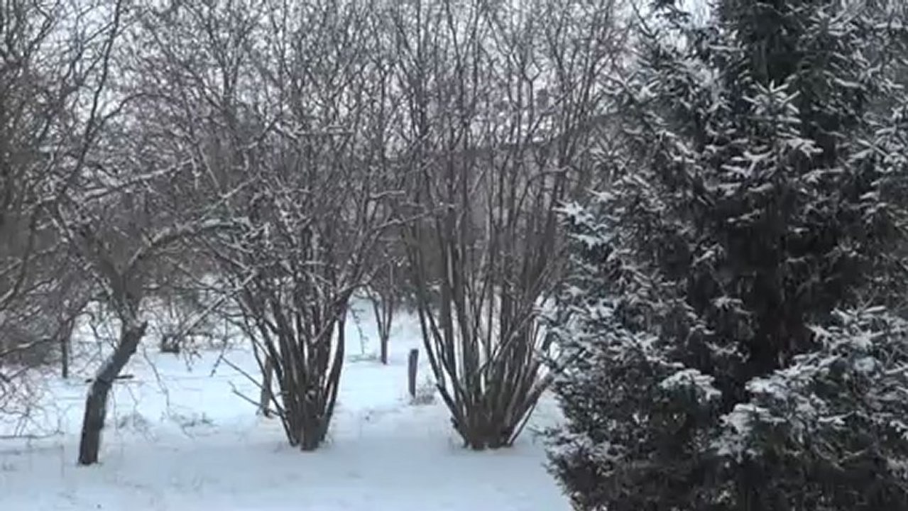 Neige janvier 2013, Moyenvic