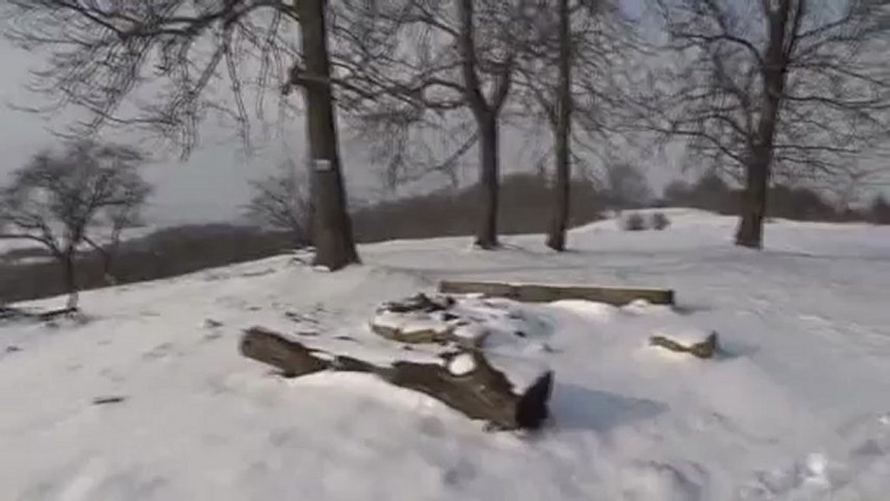 Neige sur la côte Saint-Jean, janvier 2013, Moyenvic