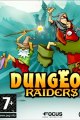 Dungeon Raiders DS Rom Download US