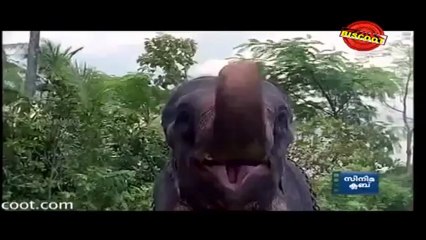 Vadhu Doctoranu (Comedy Scene) Jayaram, Nadiya Moyudu, Jagathy