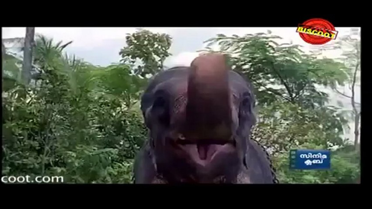 Vadhu Doctoranu (Comedy Scene) Jayaram, Nadiya Moyudu, Jagathy