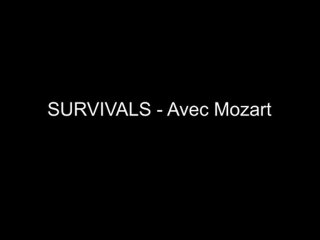 Survivals - Avec Mozart