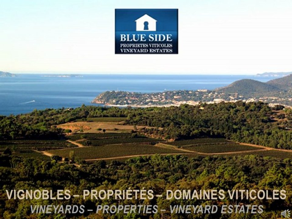 BUY SALE VINEYARDS WINERIES VINEYARD ESTATES PROVENCE - BLUE SIDE PROPERTIES