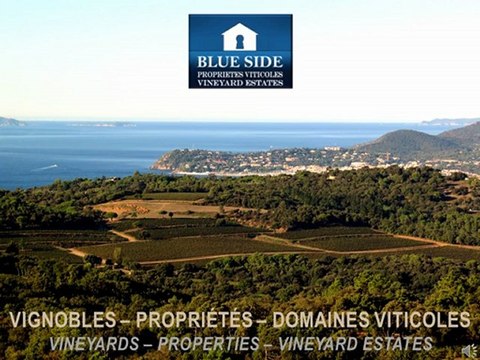 BUY SALE VINEYARDS WINERIES VINEYARD ESTATES PROVENCE - BLUE SIDE PROPERTIES