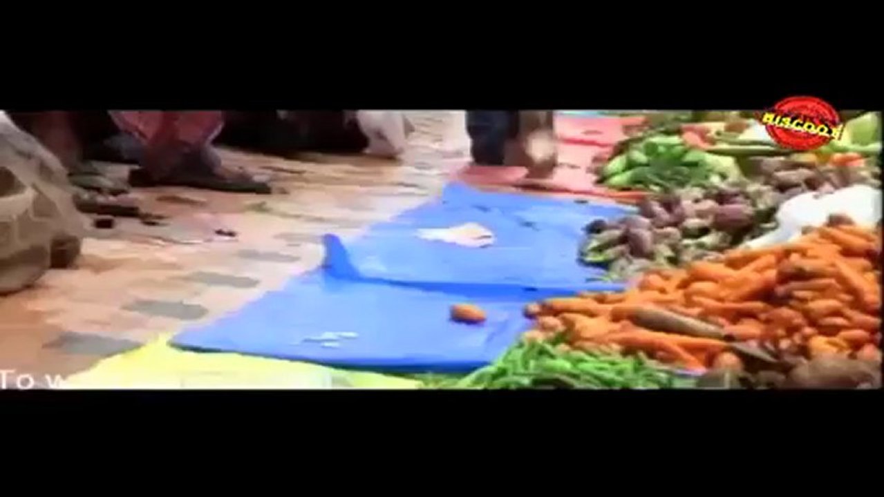 Kilukkam Kilulilukkam: (Comedy Scene) Harishree Ashokan, Jayasurya