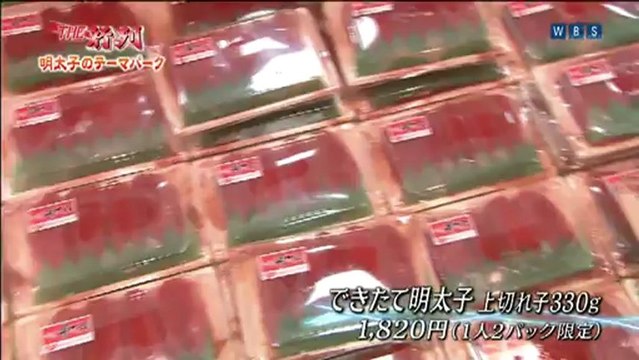 20130111 WBS 明太子主題公園