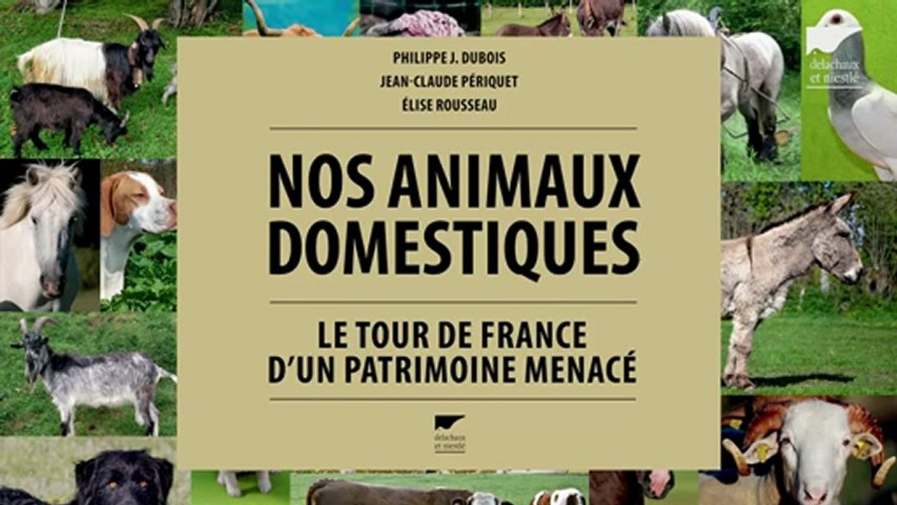 Nos animaux domestiques - Philippe Dubois