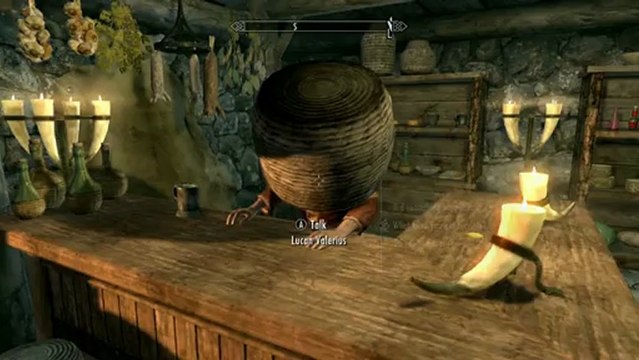 The Elder Scrolls 5 : Skyrim - Gameplay #10 - L'exploit du seau en vidéo