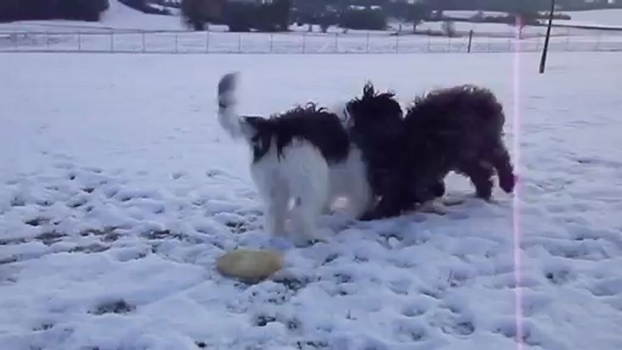 Jeux de neige 16 janvier 2013