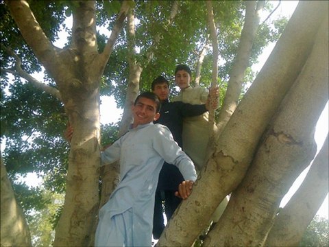 create by Ajmal_Tanha vidoes