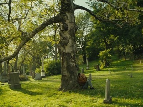 La bande-annonce de Laurence Anyways de Xavier Dolan