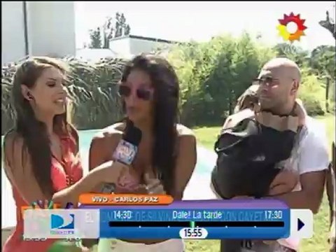 Pronto.com.ar Los perros en Carlos Paz se pusieron cachondos