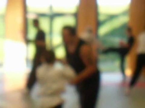 COMBAT CHAMPION DU MONDE DE KUNG FU MONSIEUR MINEO JEAN MARC ET BRUCE THE LE VAN