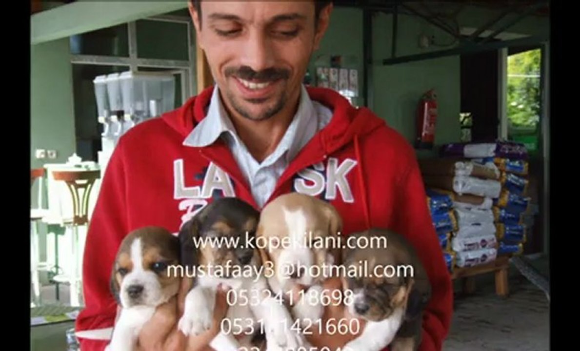 kopekilani.com