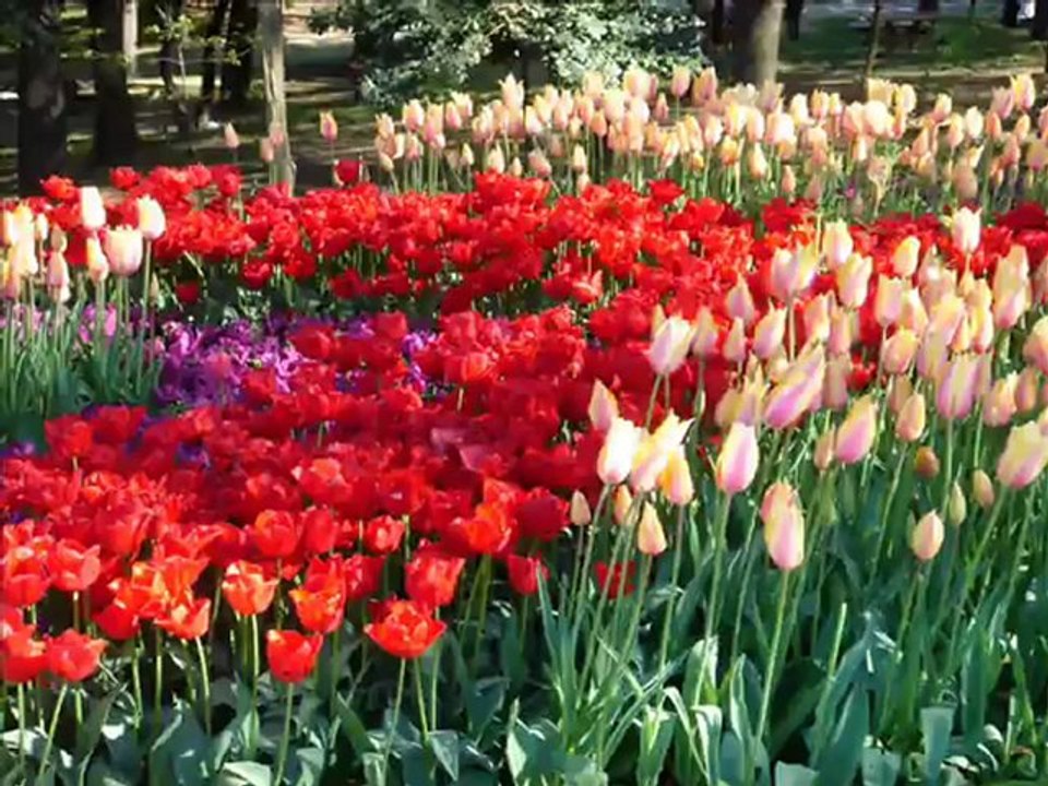 Mauj Barhe Ya Aandhi Aaye