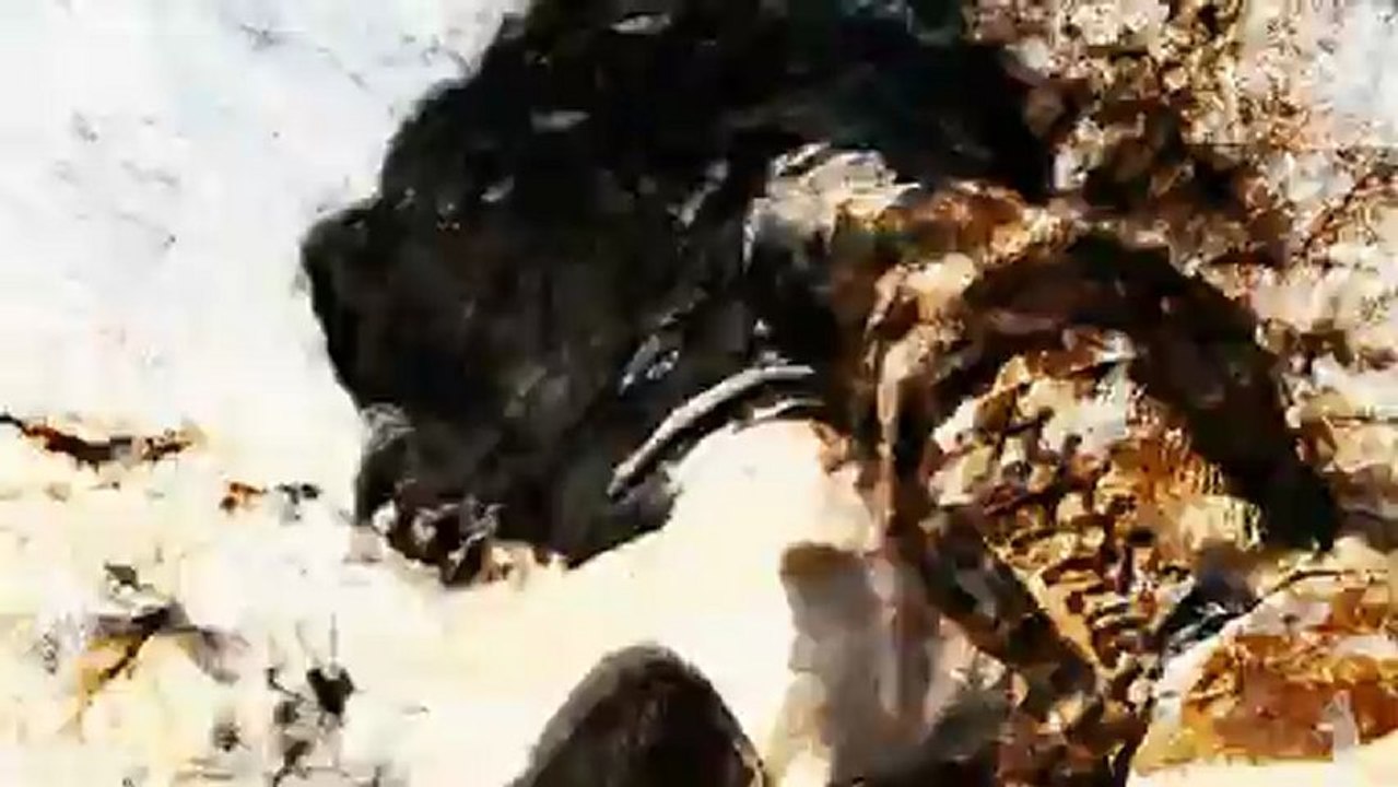 CGR Trailers - STREET FIGHTER IV Guile vs. Abel Artistic Trailer