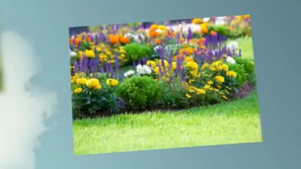 Newport's Lawn & Landscaping  - (937) 429-4655