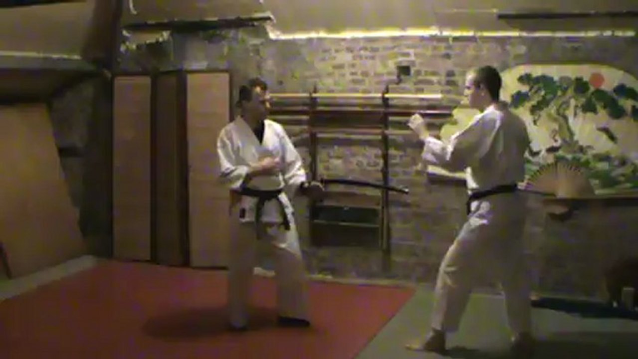 (gedan) ko mawashi geri :  sokutei osae uke