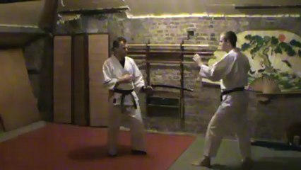 (gedan) ko mawashi geri :  sokutei osae uke