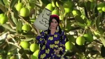 أغنية سما المصري تسخر من حازم صلاح أبو إسماعيل!