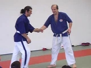 yoseikan budo