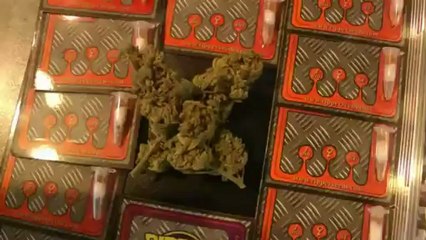 Spannabis 2012 Ripper Seeds