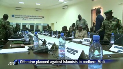 West African army chiefs in talks on Mali crisis