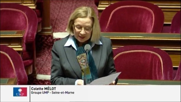Colette Mélot, Sénateur de la Seine-et-Marne : Avenir du centre de détention de Melun