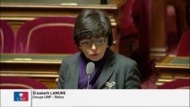 Elisabeth Lamure, Sénateur du Rhône : Financement par l'état des mandataires de justice chargés des majeurs protégés