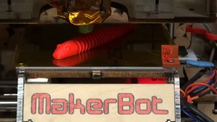 "Je n'ai jamais fait ce que j'avais envie"