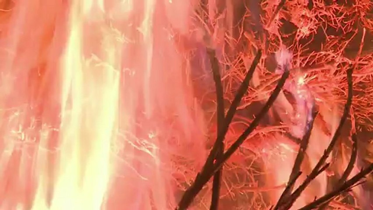 Fogo purificador