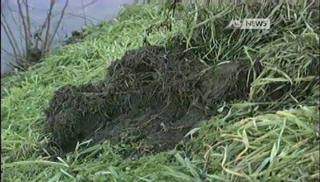 AUTO NEL CANALE. MUORE BIMBO DI 4 ANNI