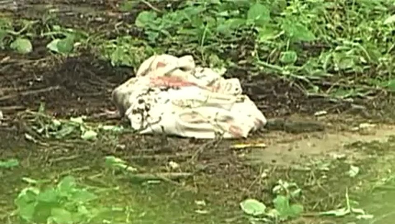 lionattackzoo.mp4