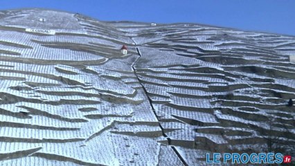 La côte-rôtie selon Ogier : "Les syrah les plus élégantes et les plus fines de la vallée du Rhône"