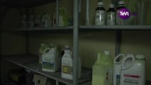 17 janvier 2013 - Réseau DEPHY : réduire l'utilisation des produits phytosanitaires