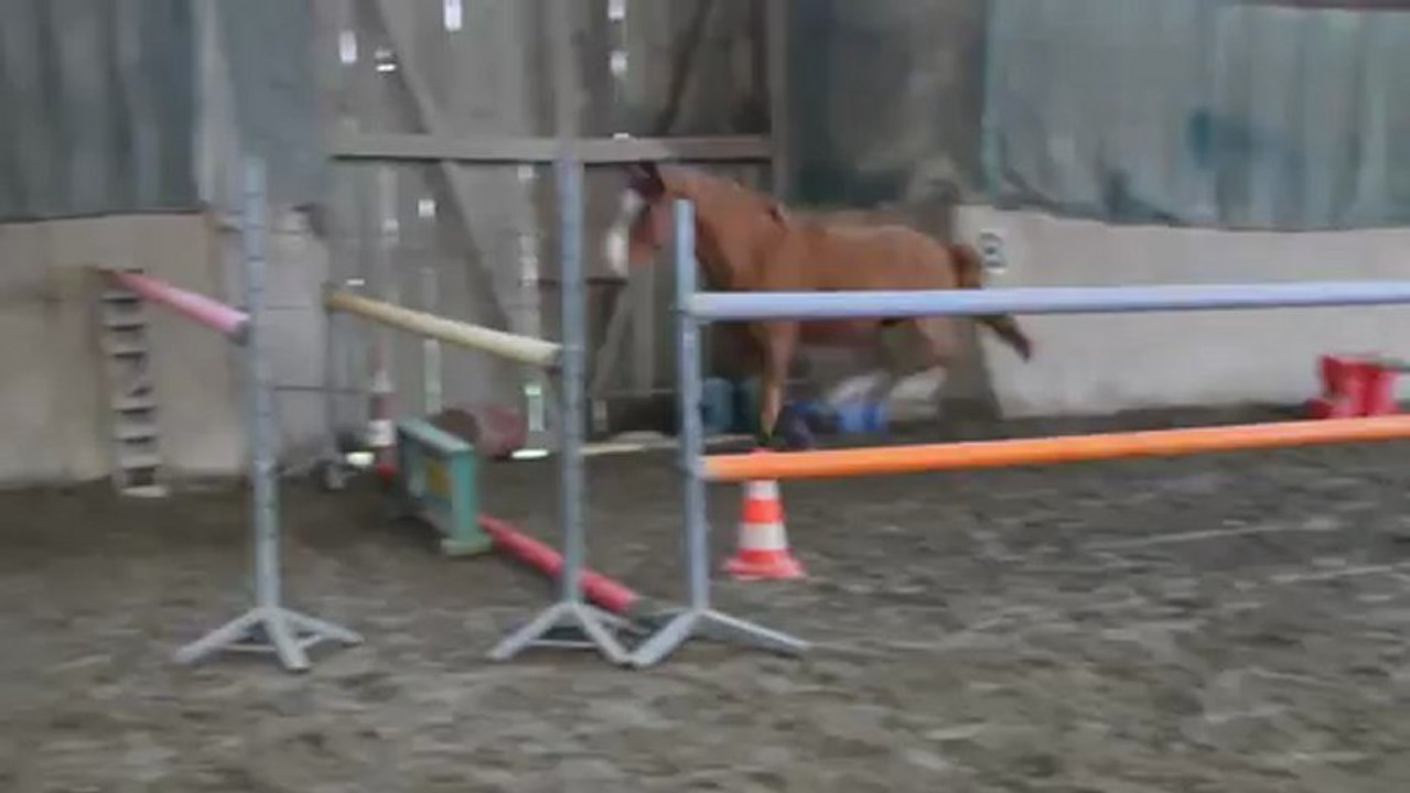 Video un prince saut en liberté
