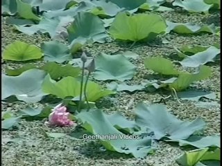 Temples of India - Srirangam - Bhoolaka Vaikuntham