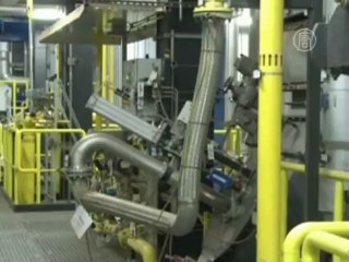 Новогодние ёлки в Вене пускают на переработку