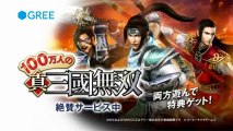 Dynasty Warriors Next – PS Vita [Download .torrent]