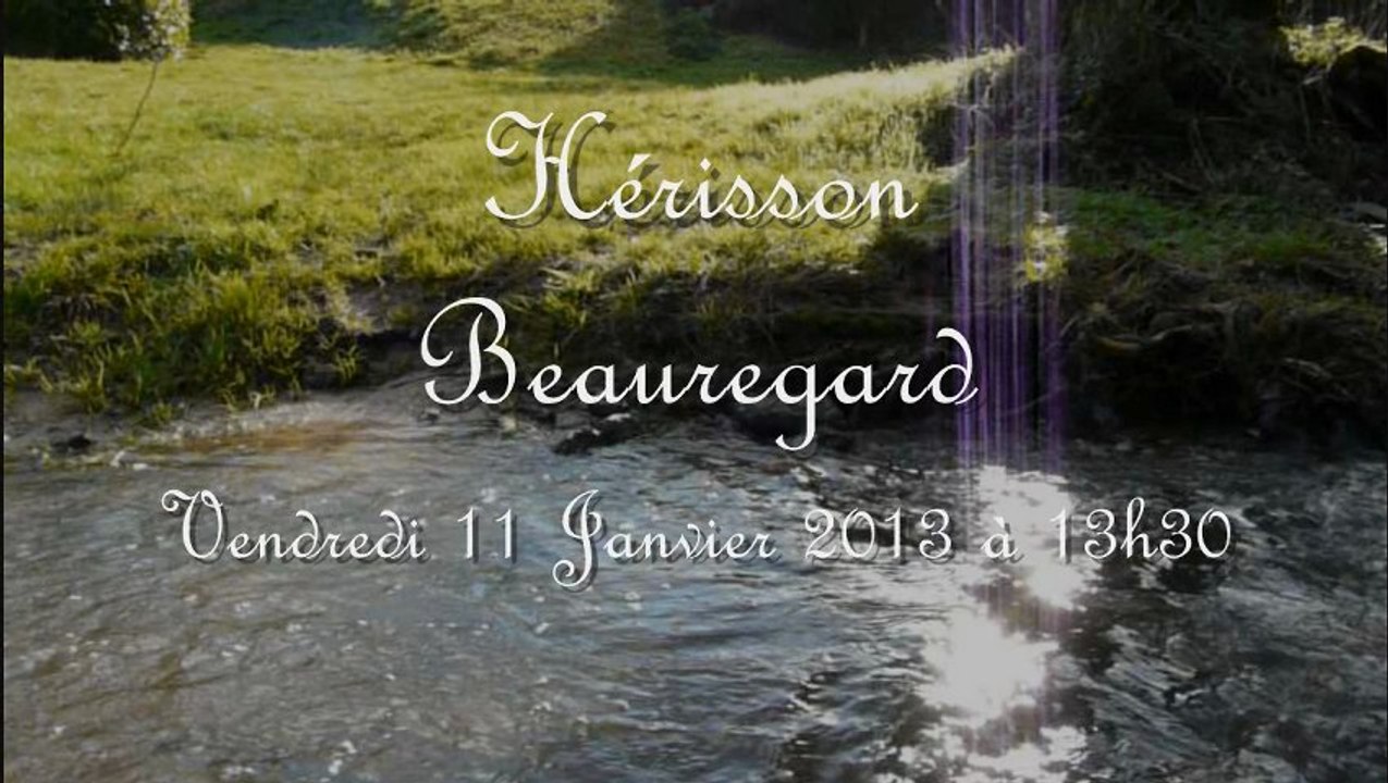 Vendredi 11 Janvier 2013 à 13h30 Hérisson