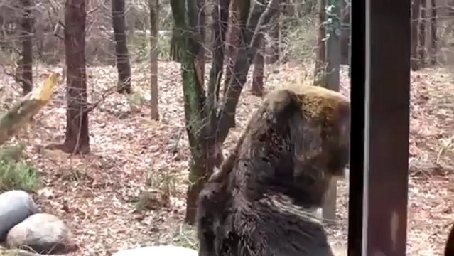 1번★●★▶AC1313.COM◀★●★해외카지노★●★해외카지­노