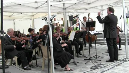 NDB - Orchestre à cordes - Billboard Marsh