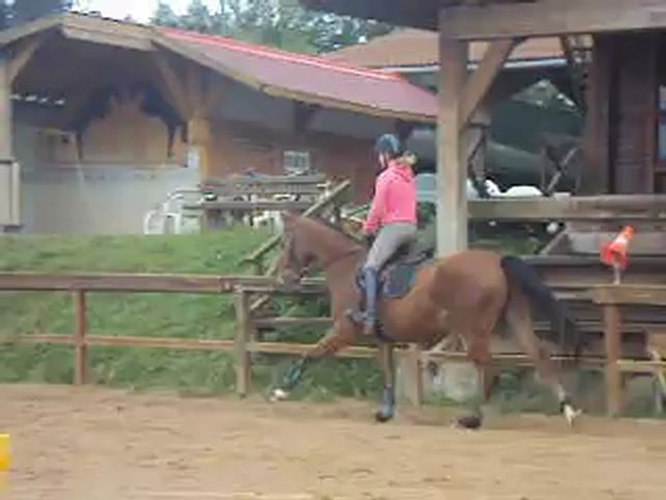 diego galop gauche